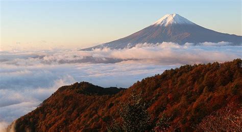 Fuji Five Lakes (Fujigoko) Travel Guide | Mount fuji japan, Explore japan, Japan places to visit