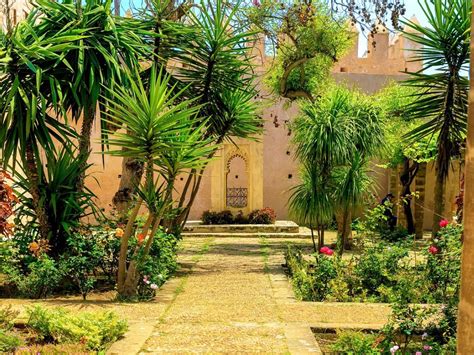 Moroccan Garden Design – Tips For Creating A Moroccan Garden ...