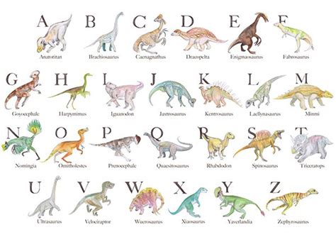 Dinosaur alphabet, Dinosaurs names and pictures, Dinosaur pictures