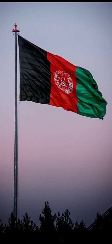 Afghanistan flag, afghan, aghanistan, HD phone wallpaper | Peakpx