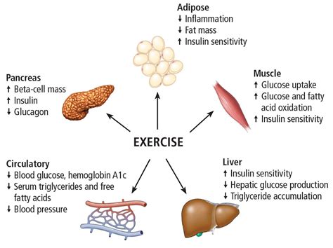 The essential role of exercise in the management of type 2 diabetes | Cleveland Clinic Journal ...