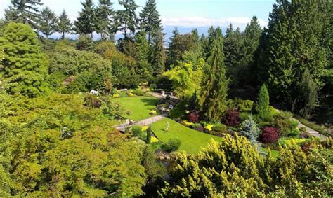 4-Hour Private Tour of Vancouver's Gardens | GetYourGuide