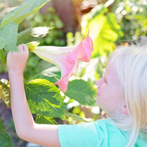 Caring For Tropical Plants in The Winter | Eco-Friendly Mom Blog | Sustainable Family Influencer ...