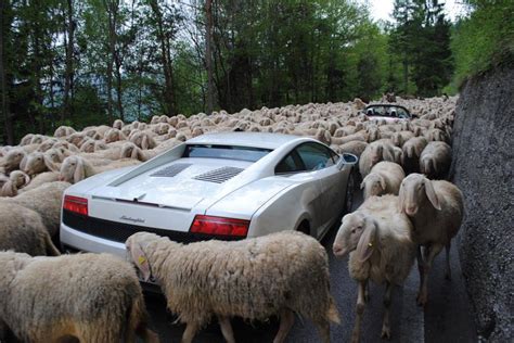 Lamborghini stuck in a traffic jam in Switzerland. : funny