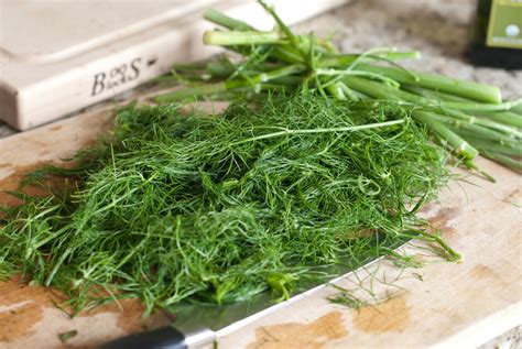 Back To Organic – Fennel Frond Pesto- a surprisingly delicious pesto without basil