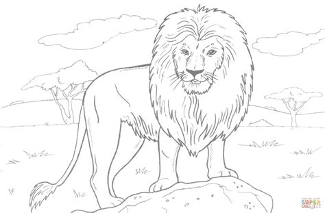 Lion Coloring Pages Printable - MedelinenLemb