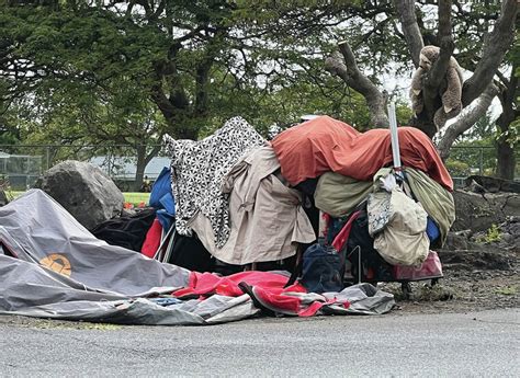 Homelessness up on Hawaii Island; 1 in 3 unsheltered individuals ...