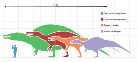 Baryonyx | Paleontology World