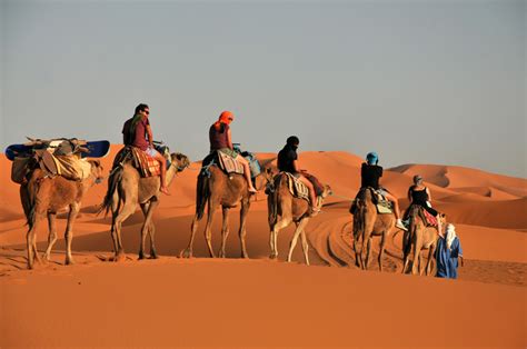 Camel Trekking through the Sahara Desert - Seattle's Travels