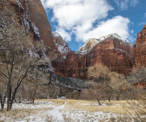 Zion in Winter- What You Need to Know for an Epic Visit