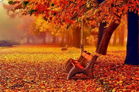 November leaves, rest, colorful, fall, autumn, november, bench, bonito ...