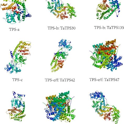 Phylogenetic relationship and gene structure of terpene synthase (TPS)... | Download Scientific ...