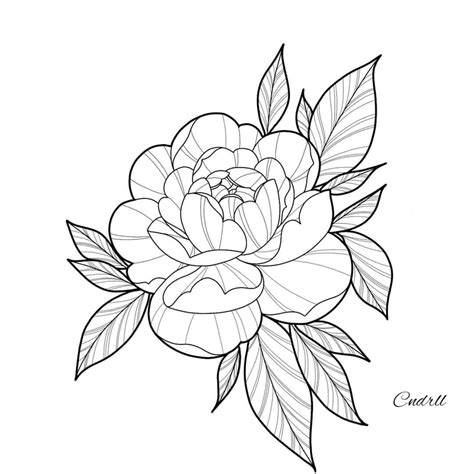 Peony Flower Tattoo Outline