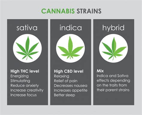 Sativa vs Indica vs Hybrid | Green Sativa