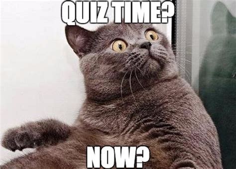 Quiz Memes