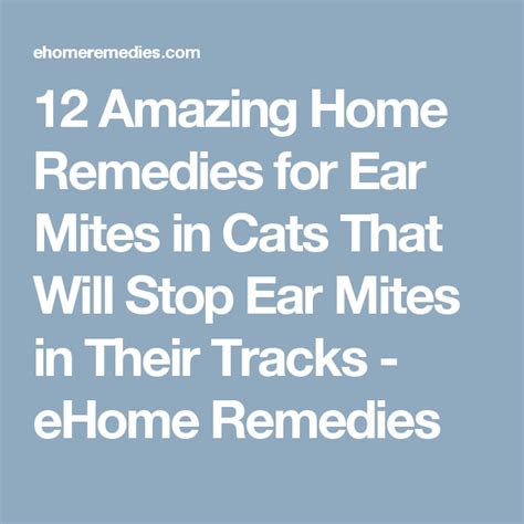 12 Amazing Home Remedies for Ear Mites in Cats That Will Stop Ear Mites in Their Tracks - eHome ...