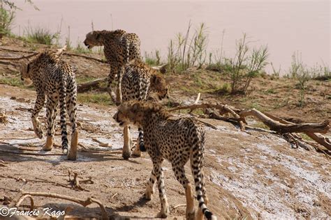 THE 10 BEST Hotels in Samburu National Reserve, Kenya 2024 (from $169) - Tripadvisor