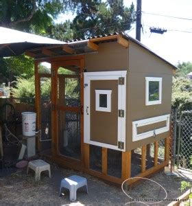 Building an Urban Chicken Coop - North Park Homestead