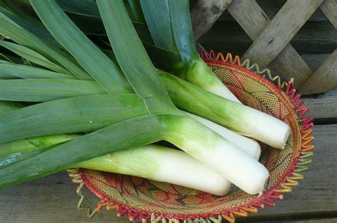 Leeks | Recipes from Nash's Organic Produce