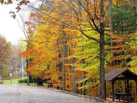 Autumn in Pine Creek Gorge - Pennsylvania's Grand Canyon