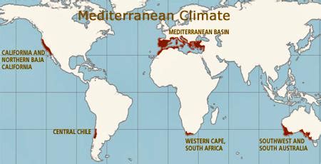 What are Mediterranean climate plants? — ORNAMENTAL GARDENS by lisa