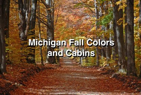 Michigan Fall colors and cabins | Getaway cabins, Romantic cabin ...