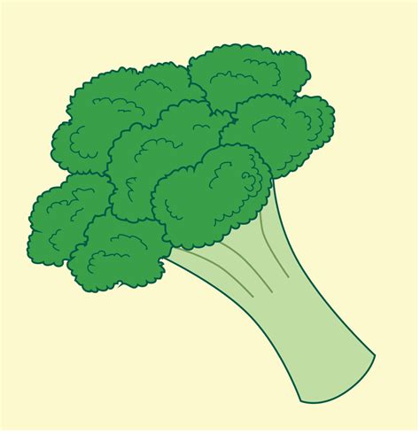 Broccoli clipart svg, Broccoli svg Transparent FREE for download on ...