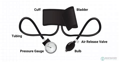 Parts of a Sphygmomanometer: An Overview (2023)