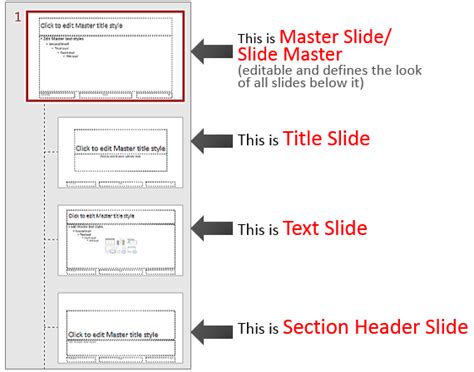 Master the Slide Master in PowerPoint in Just 5 Minutes (And How to ...