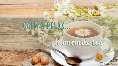 Calm and Relax...Chamomile Tea - Finally Calmed & Focused