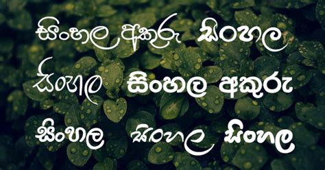 Sinhala fonts download - marbap