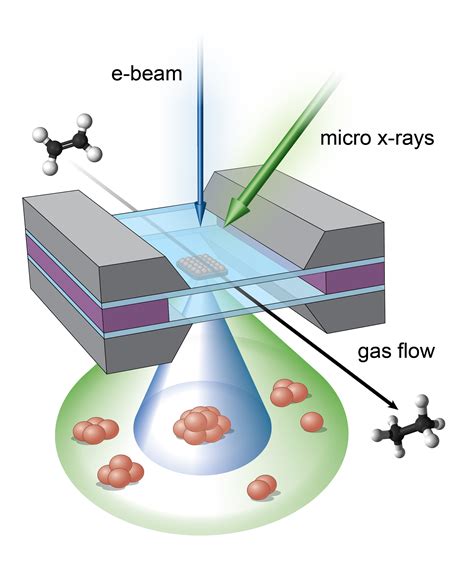 X-Rays and Electrons Join Forces To Map Catalytic Reactions in Real-Time | BNL Newsroom