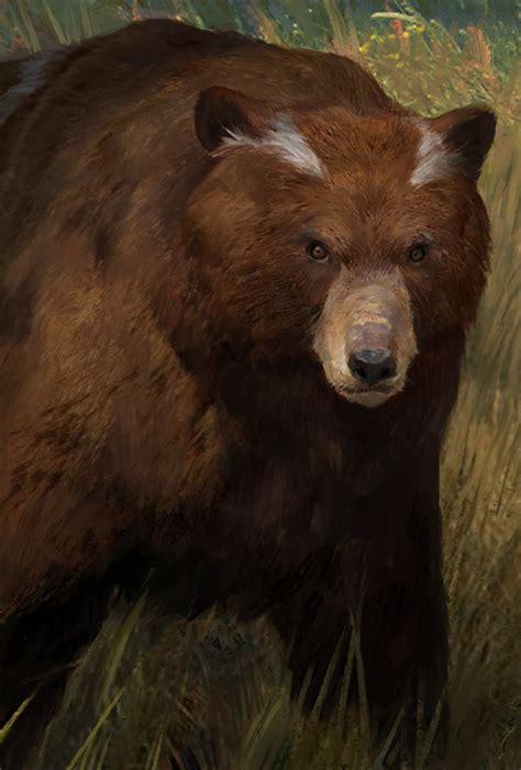 Bear - Pathfinder: Kingmaker Wiki