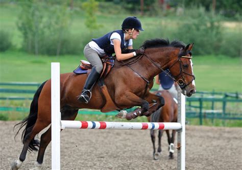 girl-horse-jumping | Natalie's Blog