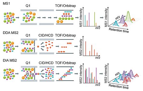 DIA metaproteomics is ready to take off | Nature Portfolio Microbiology ...