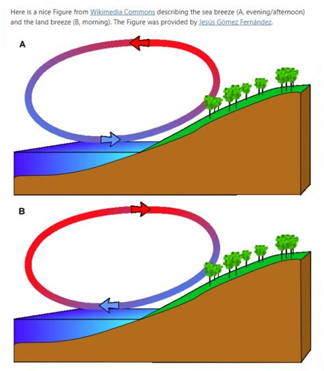 How to read sand dunes formation and texture? - Discussions - Carnity.com