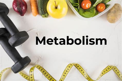 Metabolism types and ways to perfect it - Doctor Solve