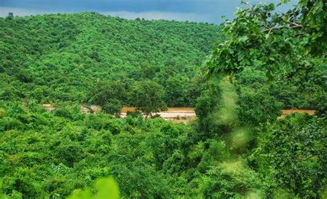 Jharkhand Forests ~ Siva Travelogue