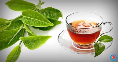 How to Make Guava Leaf Tea (and The Health Benefits) - Diabetes Health Page