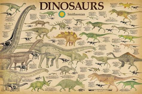 Smithsonian Dinosaurs Info Chart Poster 36x24 Sold by Art.Com - Walmart.com