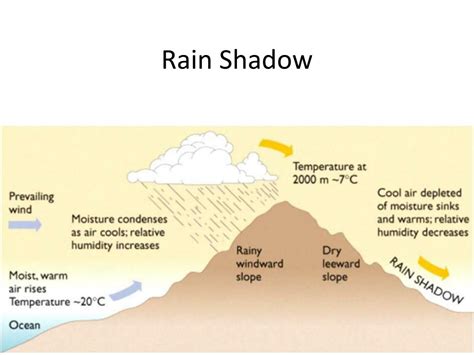 PPT - Rain Shadow PowerPoint Presentation, free download - ID:1894286