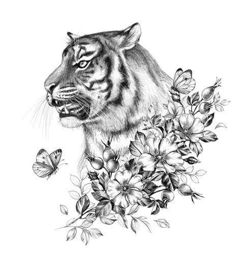 80,915 Animal Pencil Sketches Images, Stock Photos, 3D objects ...