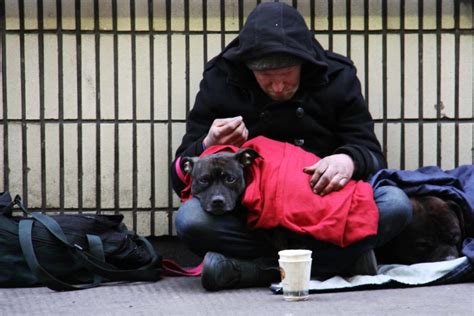 The impact of the COVID-19 crisis on homelessness - EPHA