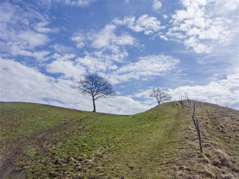 Landscape in Murnau Moss in Upper Bavaria Stock Photo - Image of ...