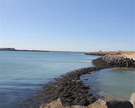 THE BEST Reykjavik Beaches (2024) - Tripadvisor