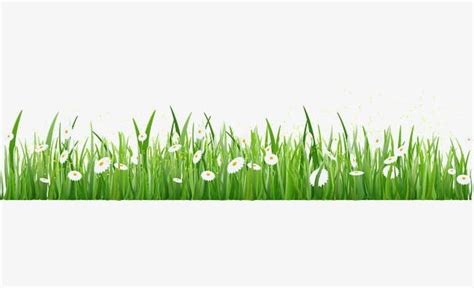 Grass Border Texture PNG, Clipart, Border, Border Clipart, Chrysanthemum, Dig, Flower Free PNG ...