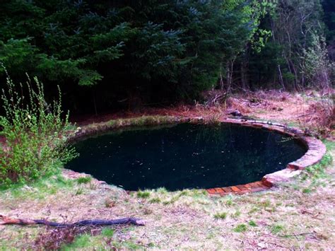 Torwood, Water Storage Tank © Robert Murray :: Geograph Britain and Ireland