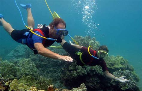 What is Snuba Diving? A Comprehensive Guide for Beginners | Aquaticglee