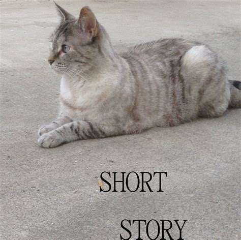 shortstorystop | Short stories for busy readers | Storytelling, Genres ...