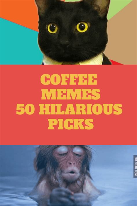50 FUNNY COFFEE MEMES TO LAUGH ALL THE WAY TO THE CAFE | Funny memes comebacks, Cat quotes funny ...